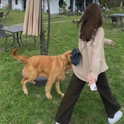 女佣